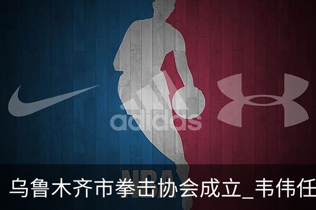 乌鲁木齐市拳击协会成立 韦伟任会长